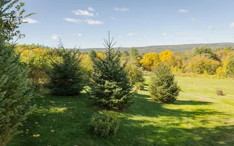 84 Old Keene Road Walpole NH 03608