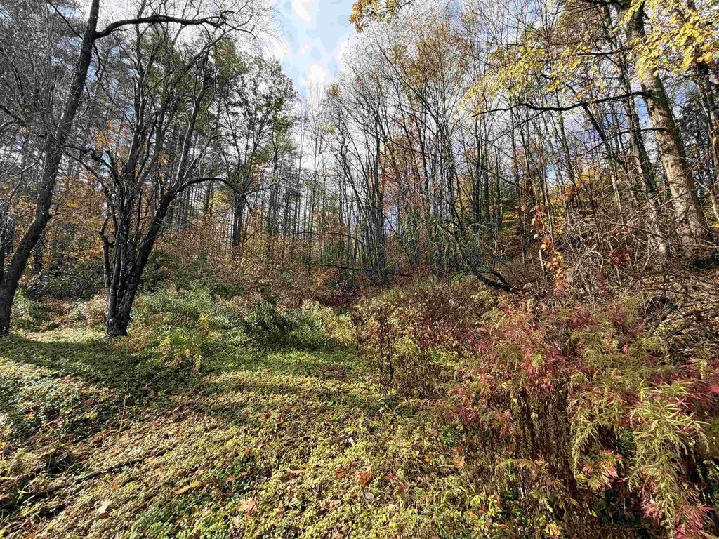 778 Route 100 B Moretown VT 05660