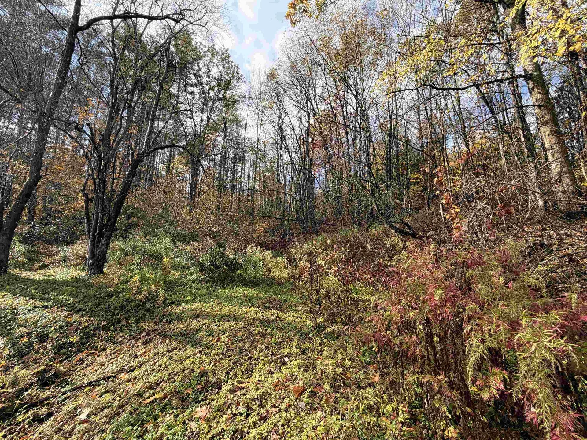 778 Route 100 B Moretown VT 05660