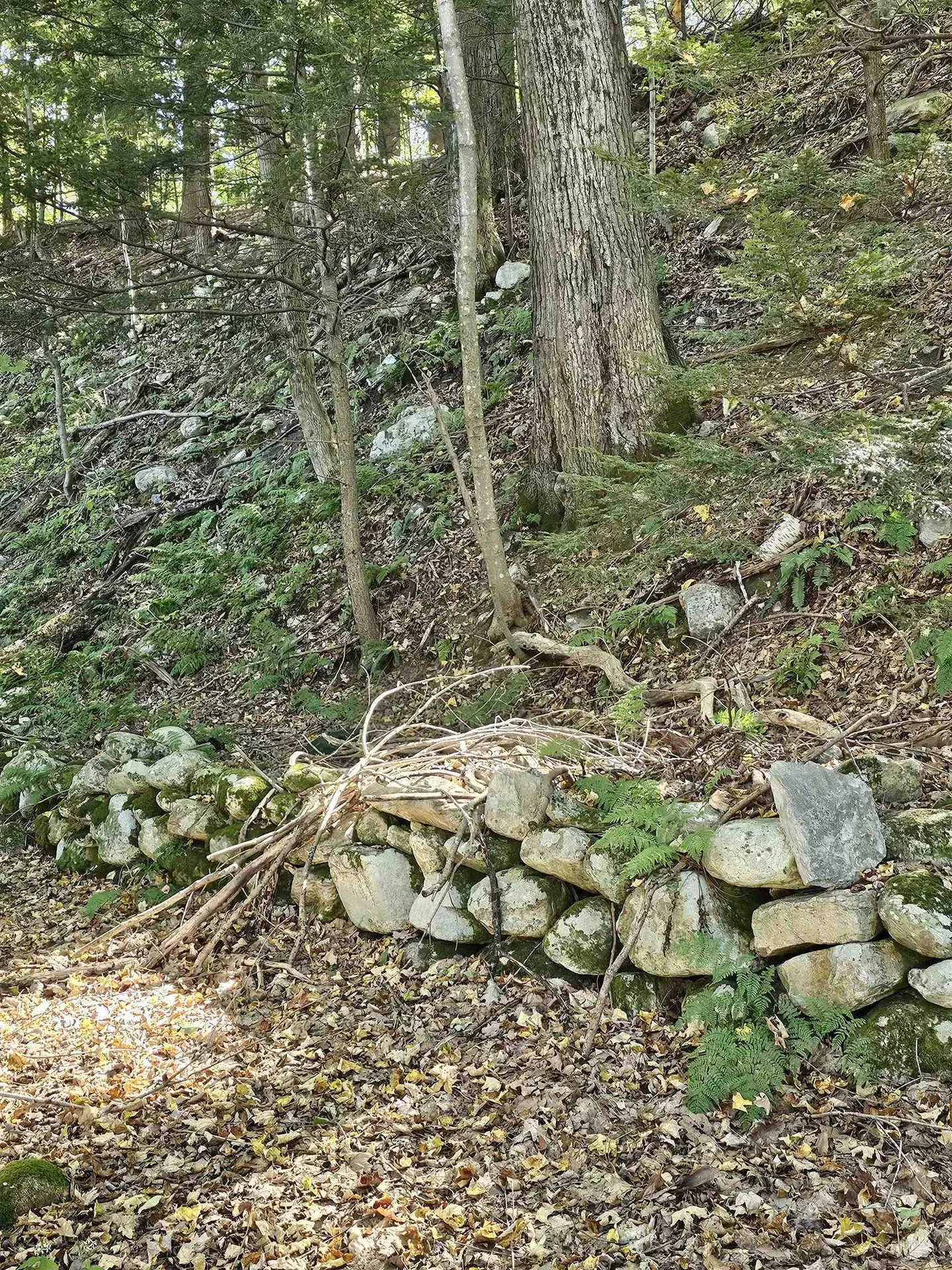 508 Barney Road Bennington VT 05201