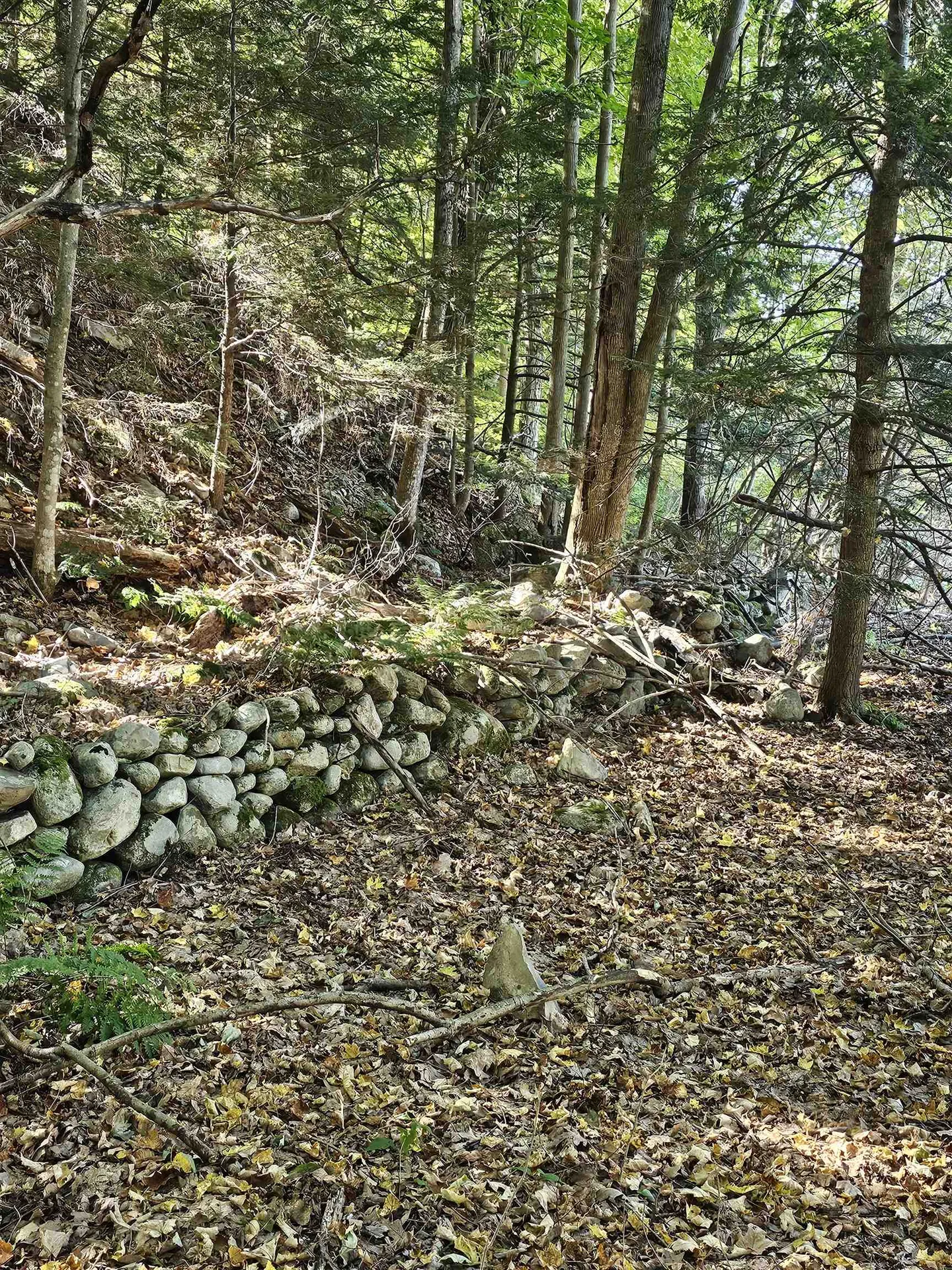 508 Barney Road Bennington VT 05201