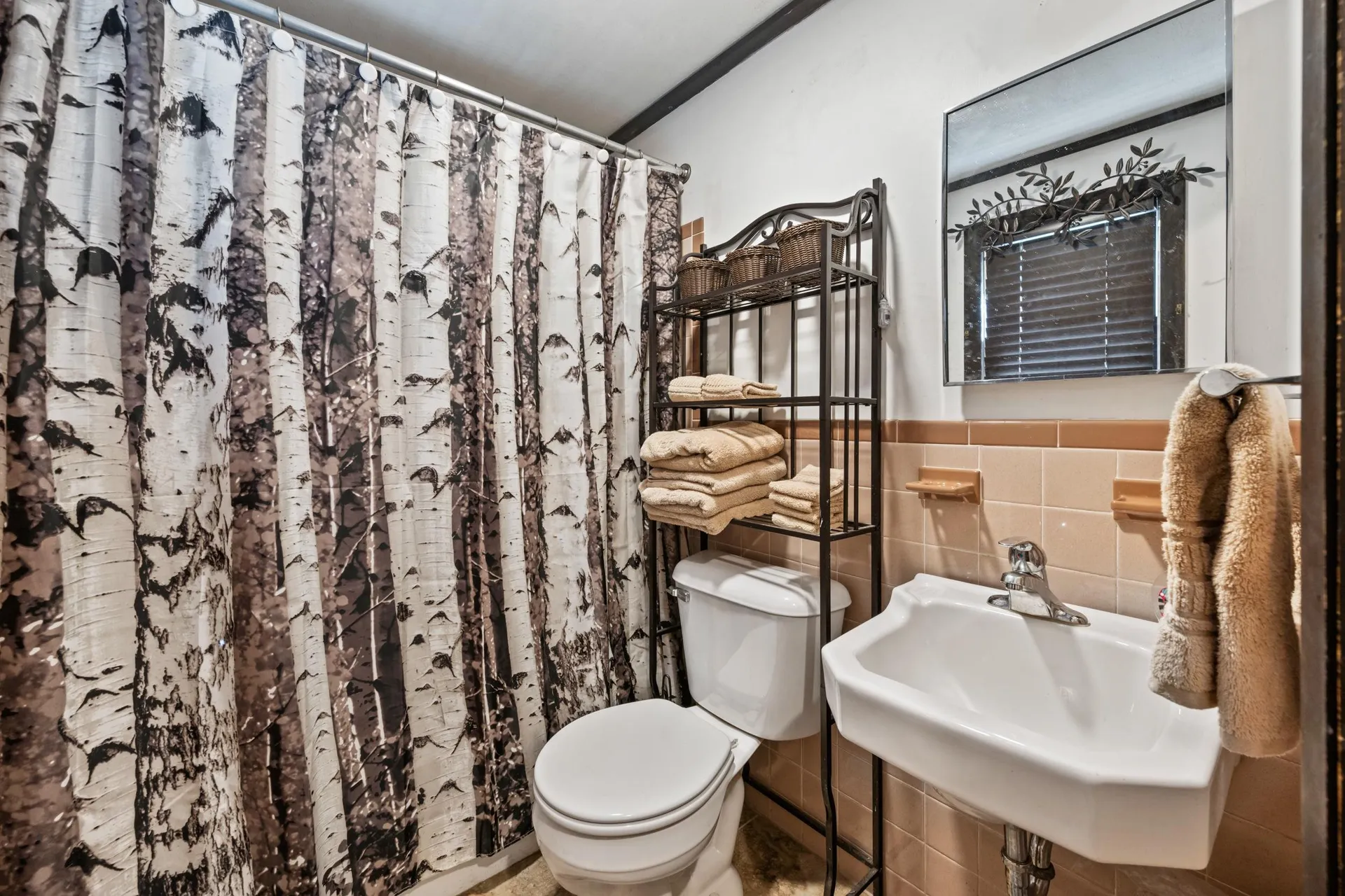 6 Park Road Bartlett NH 03845