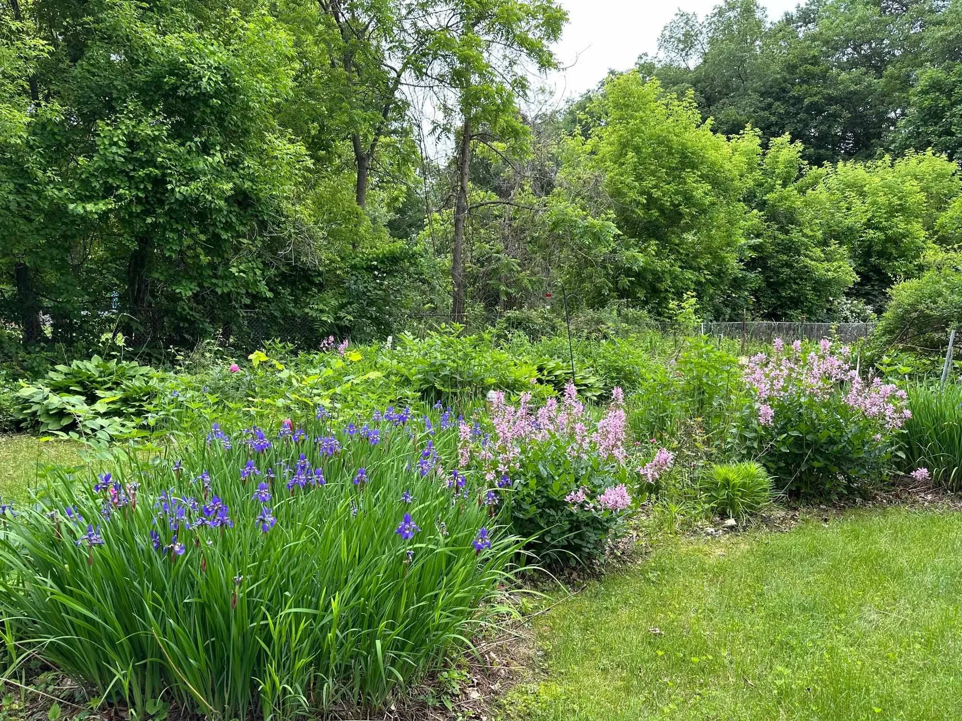 6 Osgood Avenue Claremont NH 03743