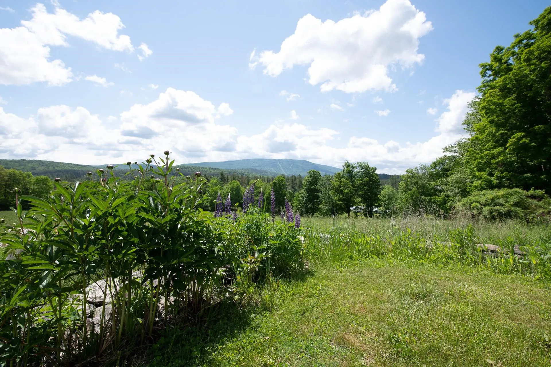 00 Hells Peak Road Londonderry VT 05148