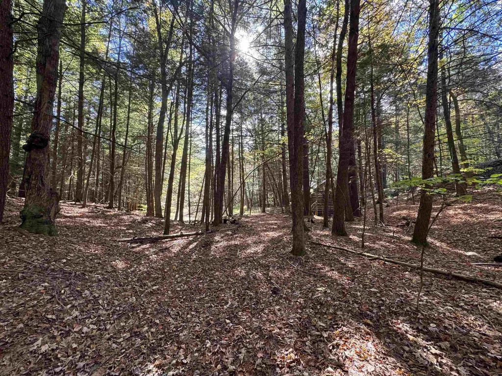 236 Hall Bridge Road Rockingham VT 05101