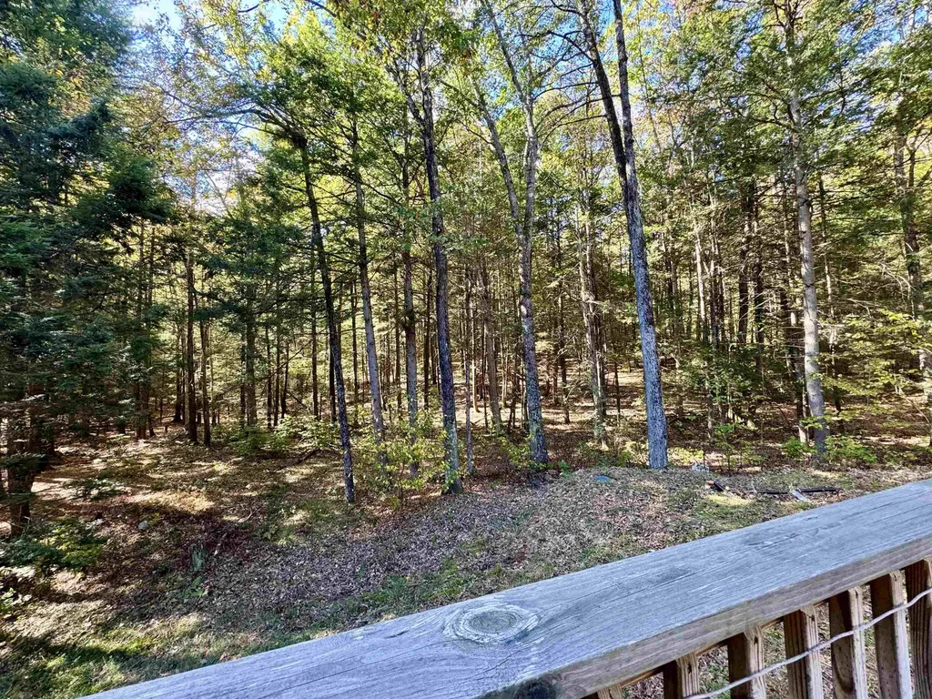 236 Hall Bridge Road Rockingham VT 05101