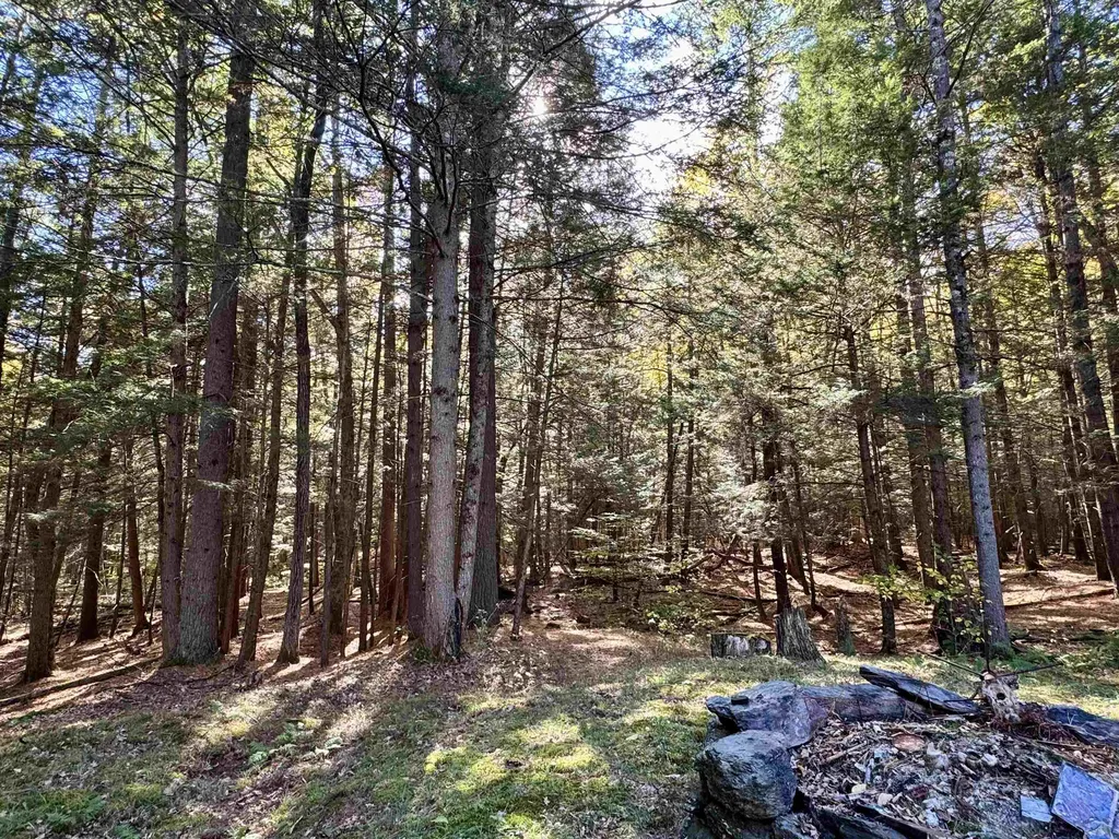 236 Hall Bridge Road Rockingham VT 05101