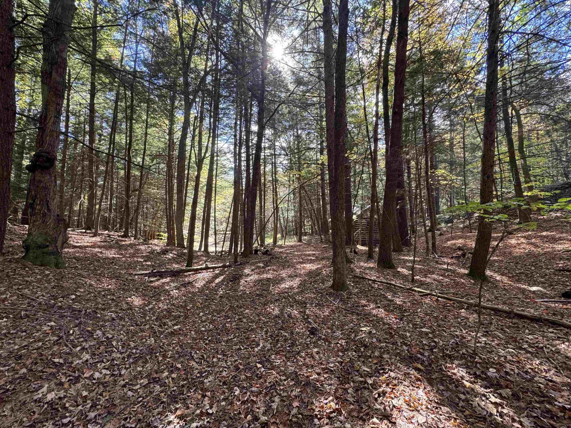 236 Hall Bridge Road Rockingham VT 05101