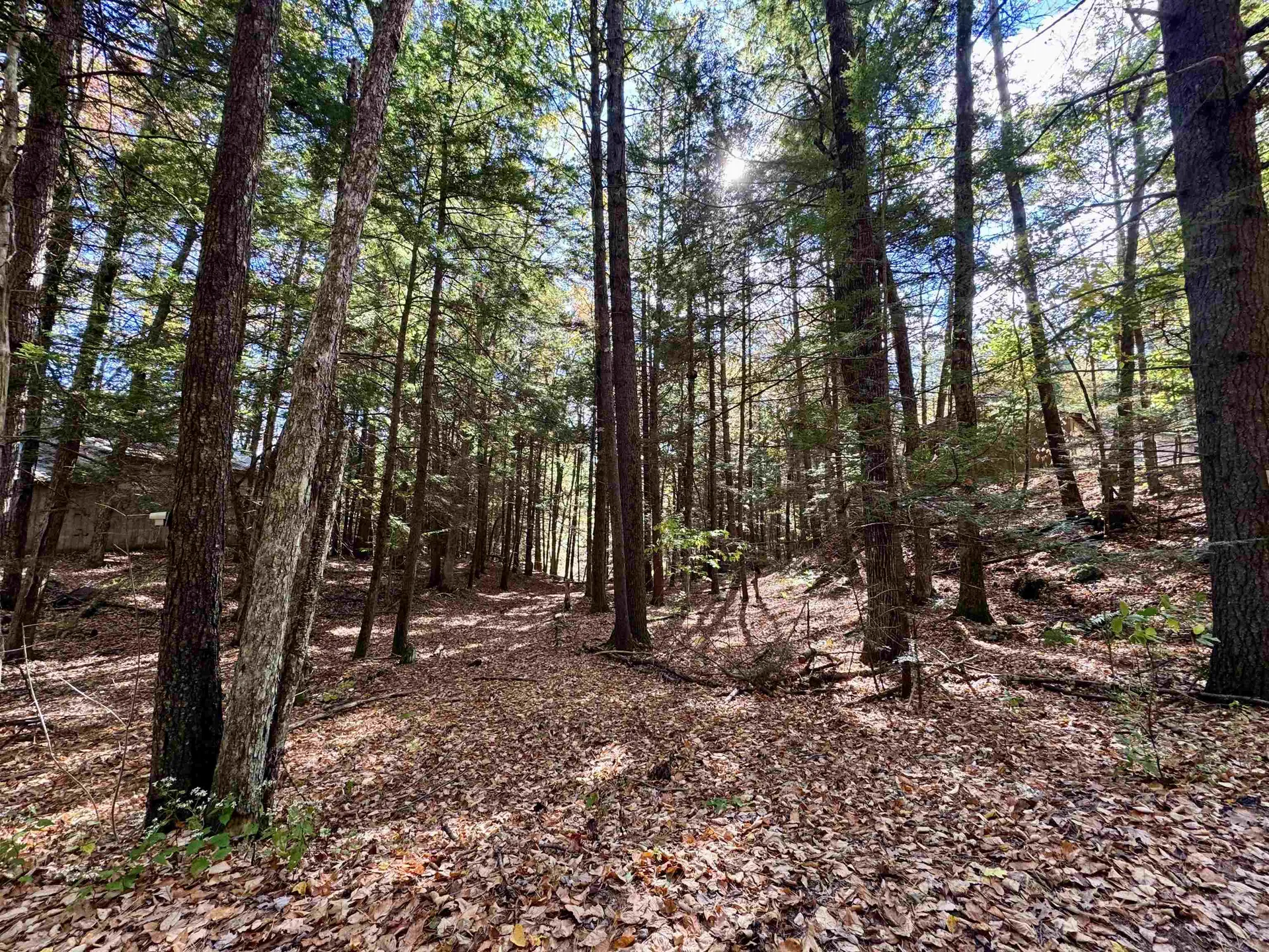 236 Hall Bridge Road Rockingham VT 05101