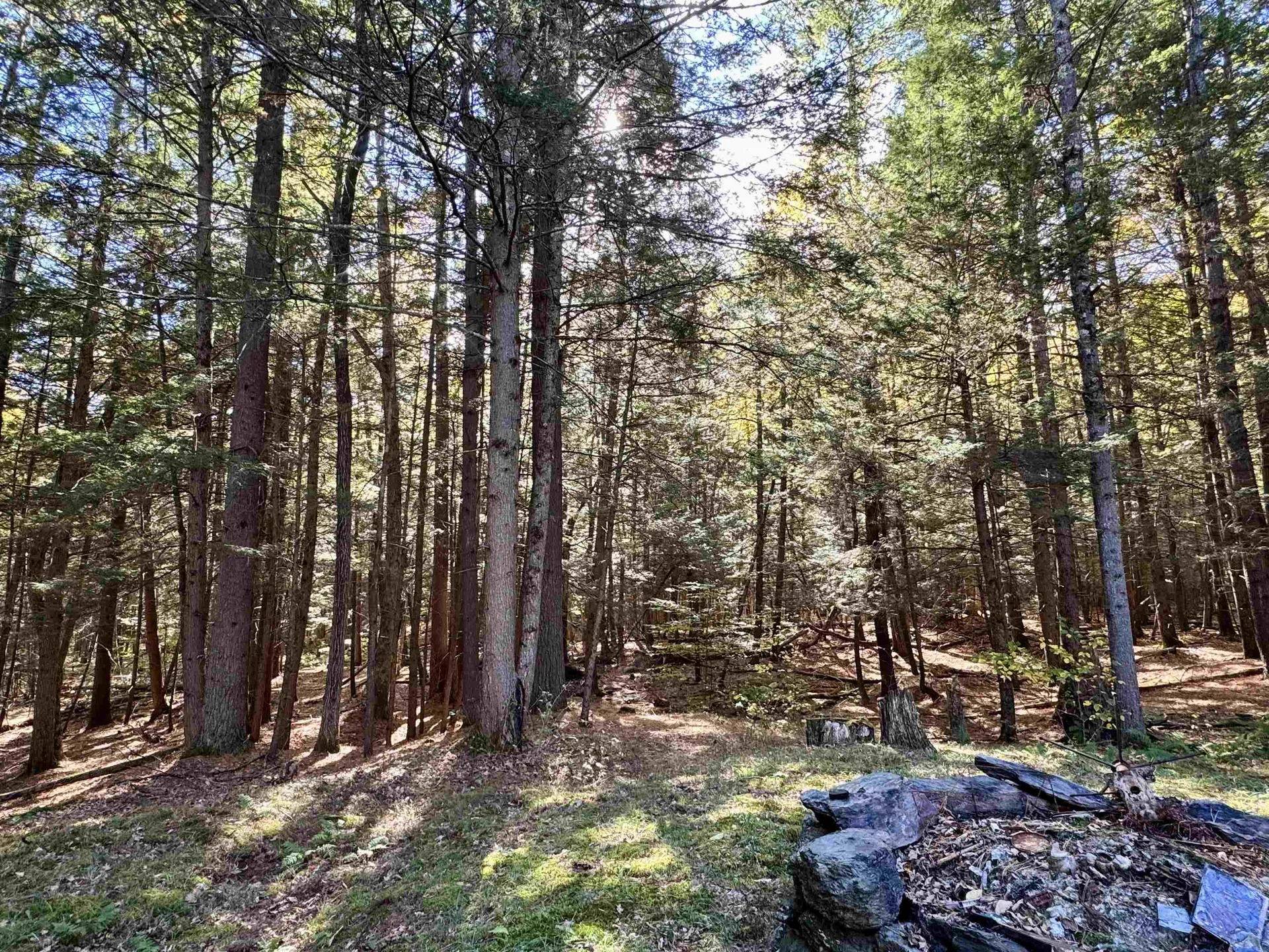 236 Hall Bridge Road Rockingham VT 05101