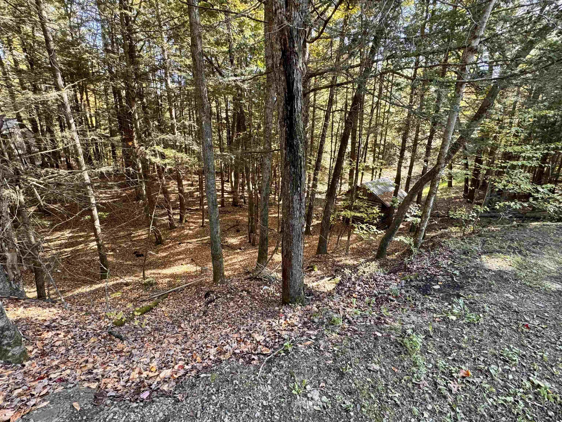 236 Hall Bridge Road Rockingham VT 05101