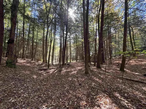 236 Hall Bridge Road Rockingham VT 05101