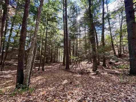 236 Hall Bridge Road Rockingham VT 05101