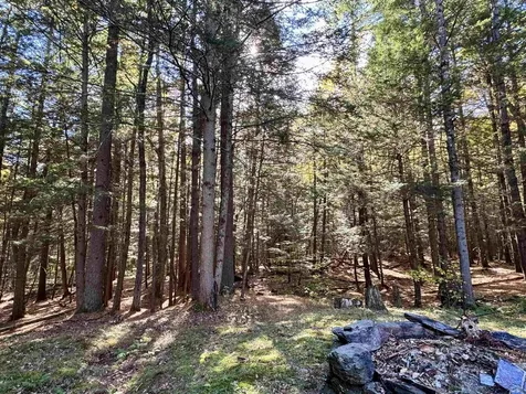 236 Hall Bridge Road Rockingham VT 05101