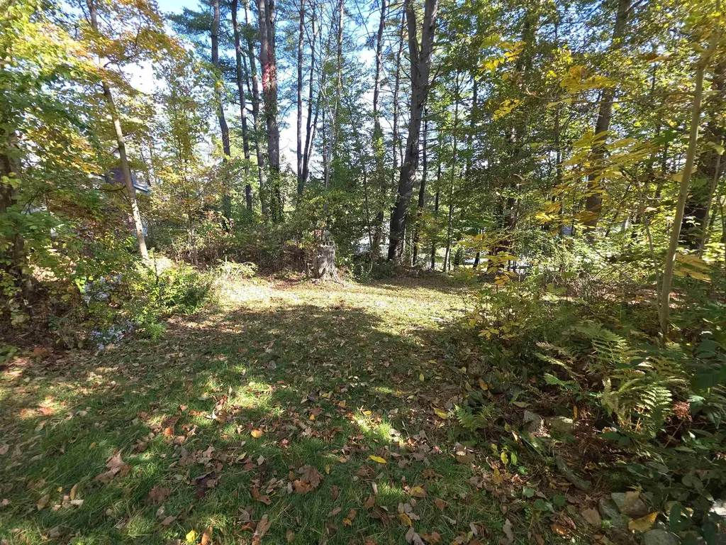 15 Frederic Street Springfield VT 05156