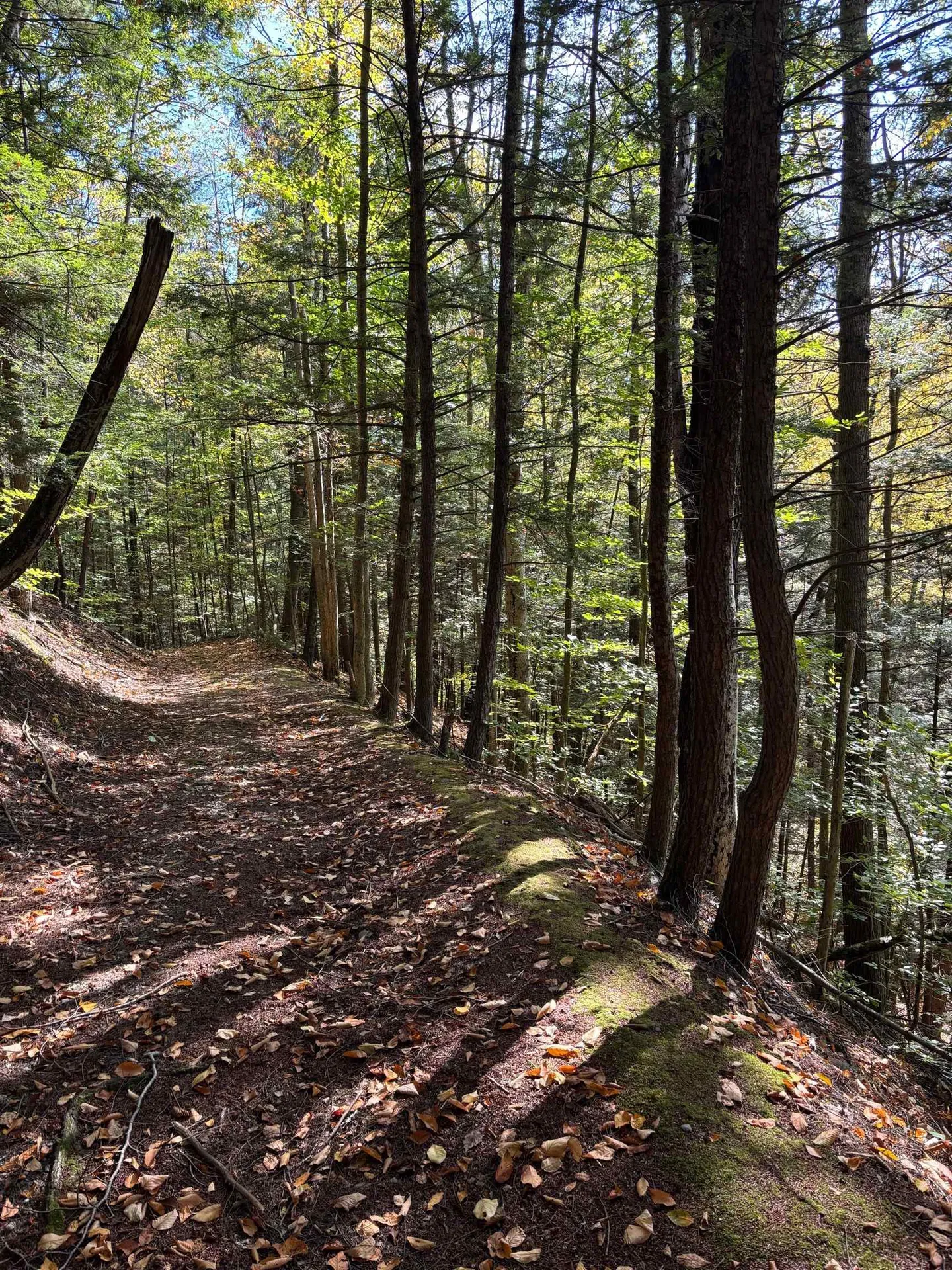 1909 Pine Banks Road Westminster VT 05158