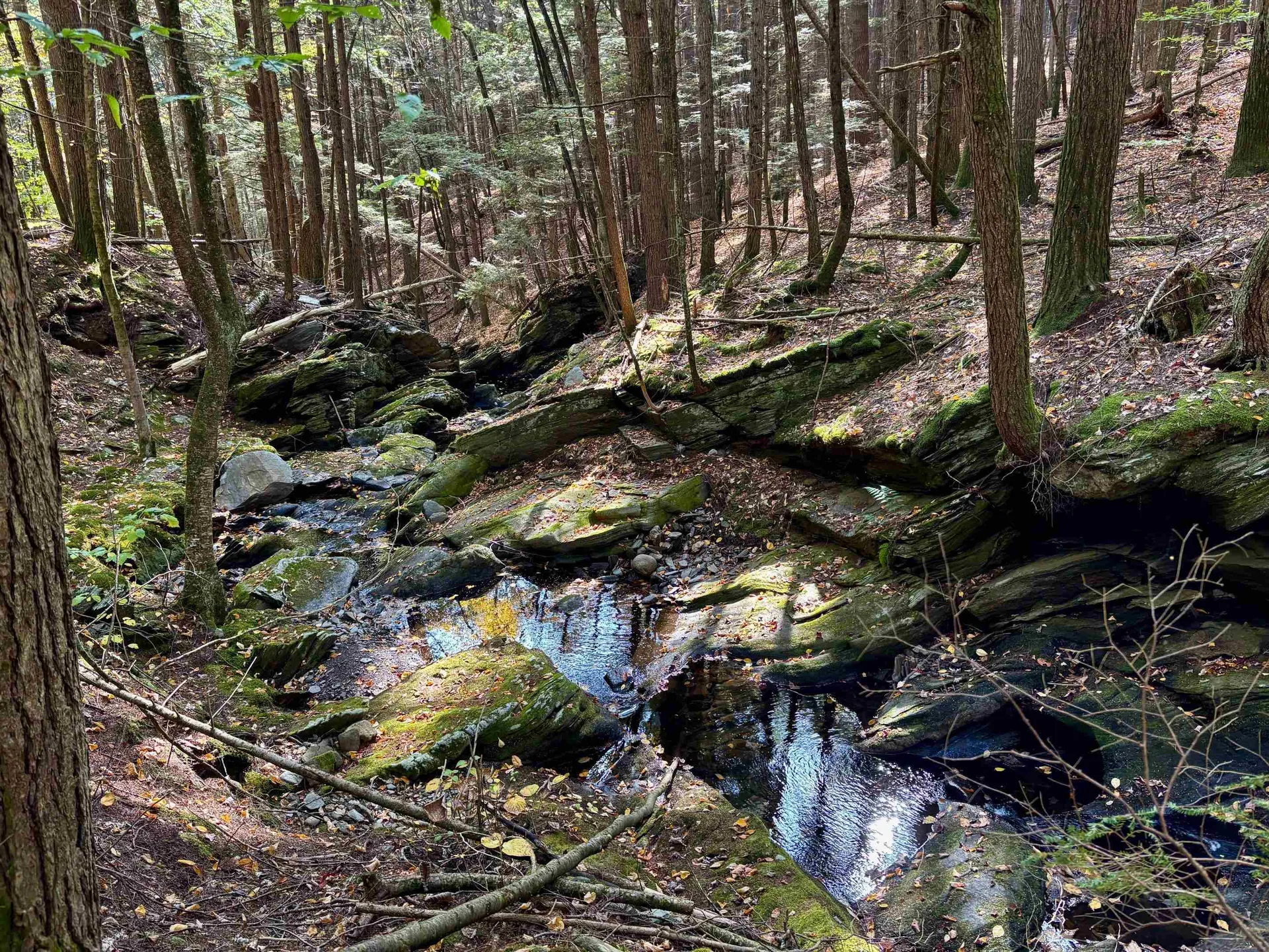 1909 Pine Banks Road Westminster VT 05158