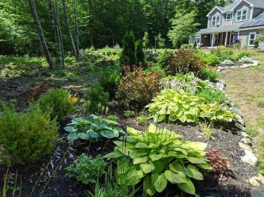 88 Ambrose Way Wolfeboro NH 03894