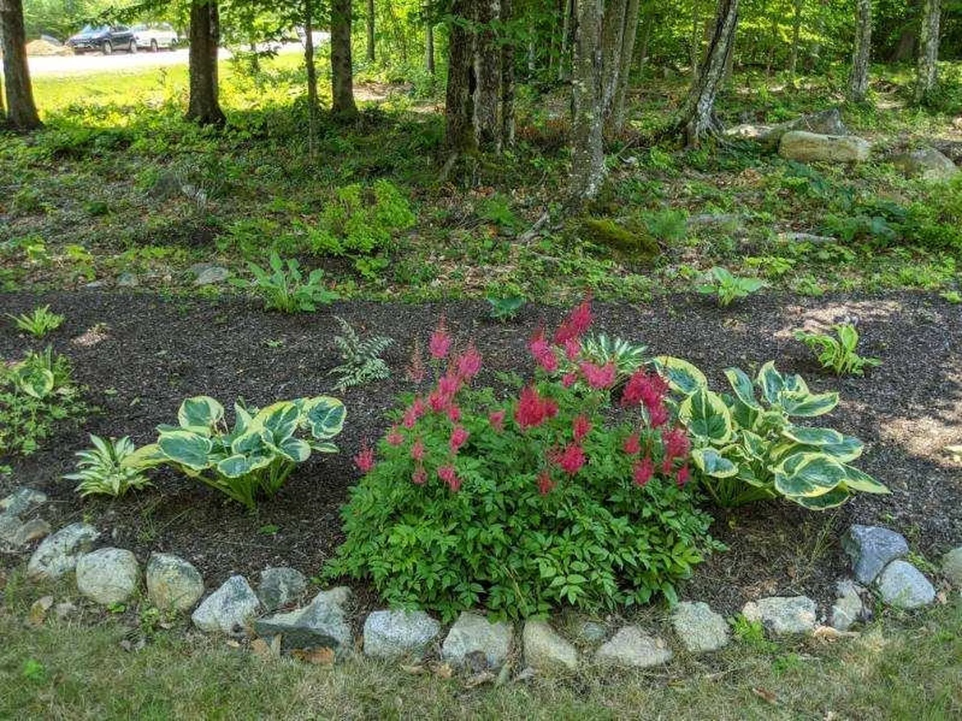 88 Ambrose Way Wolfeboro NH 03894