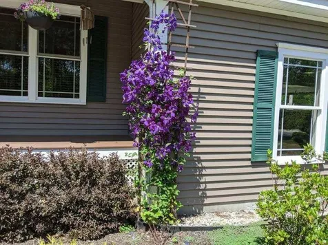 88 Ambrose Way Wolfeboro NH 03894