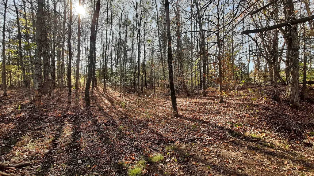 188 Station Road Mount Holly VT 05758