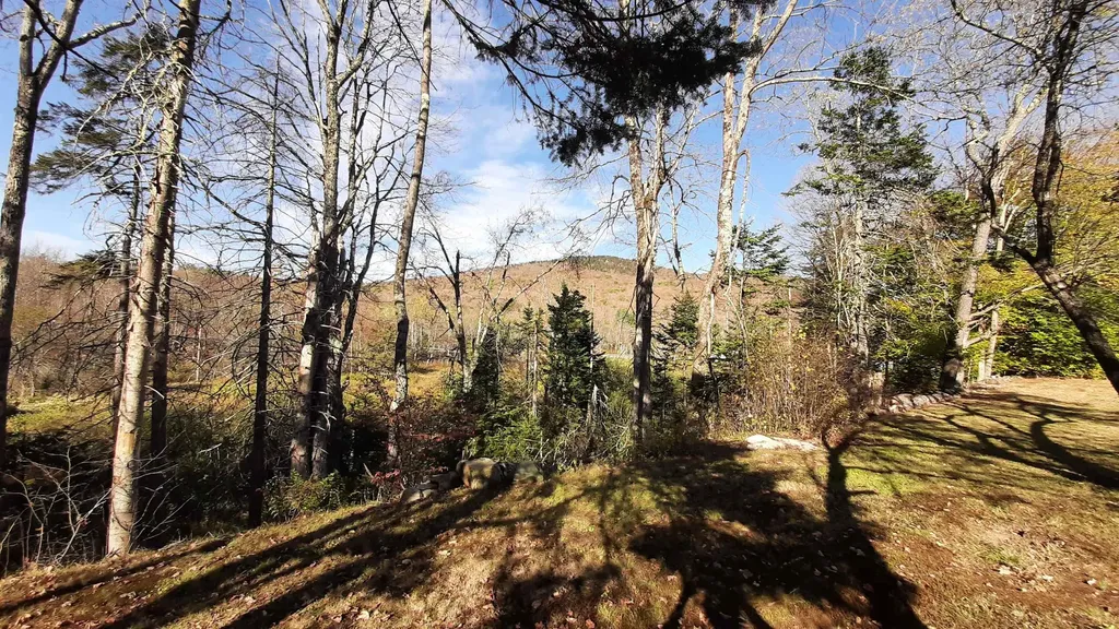 188 Station Road Mount Holly VT 05758