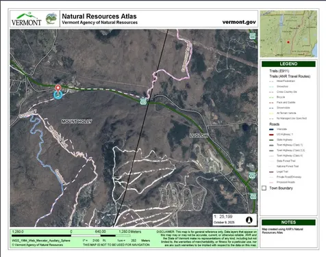 188 Station Road Mount Holly VT 05758