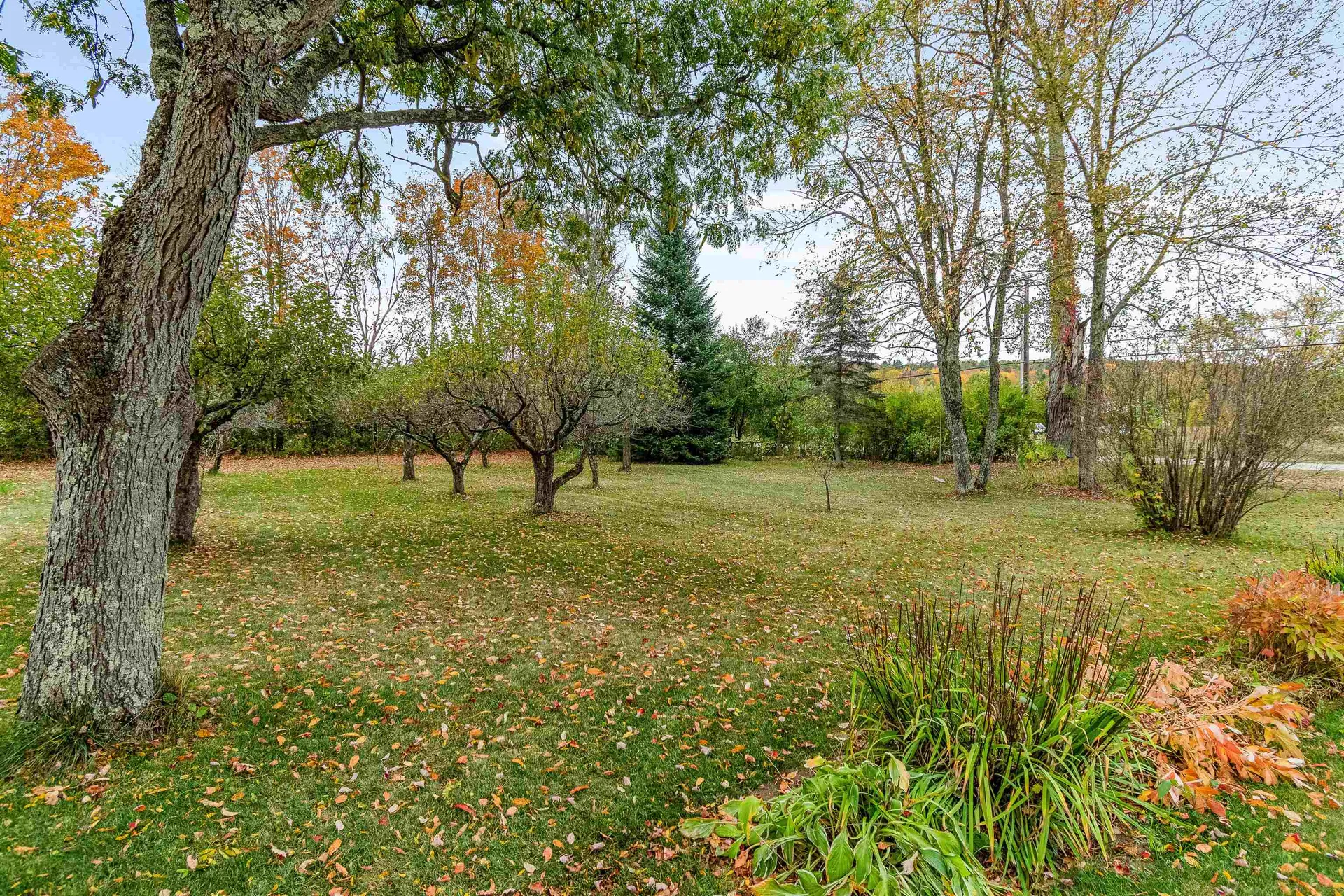 113 Plains Road Jericho VT 05465