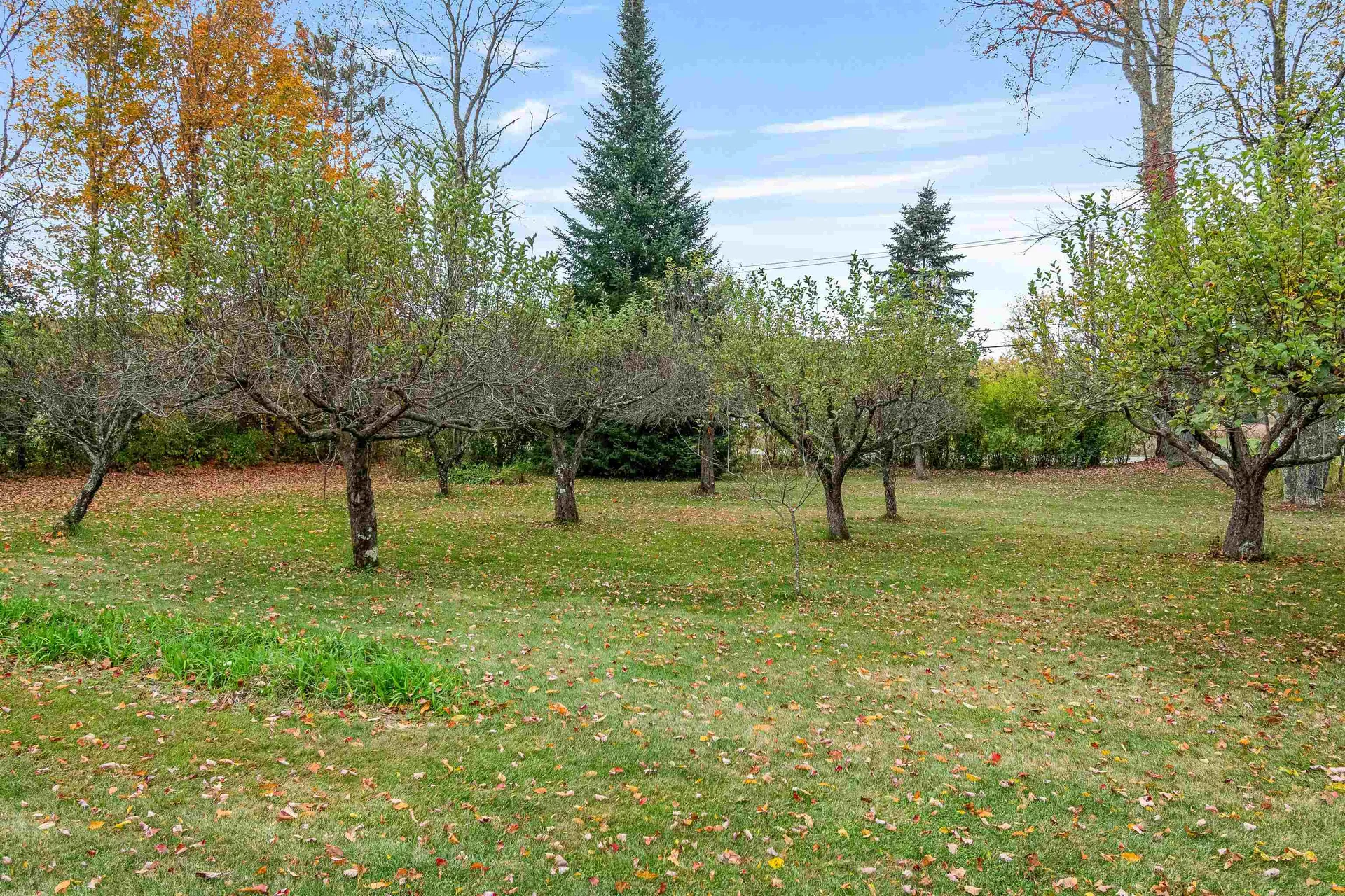 113 Plains Road Jericho VT 05465