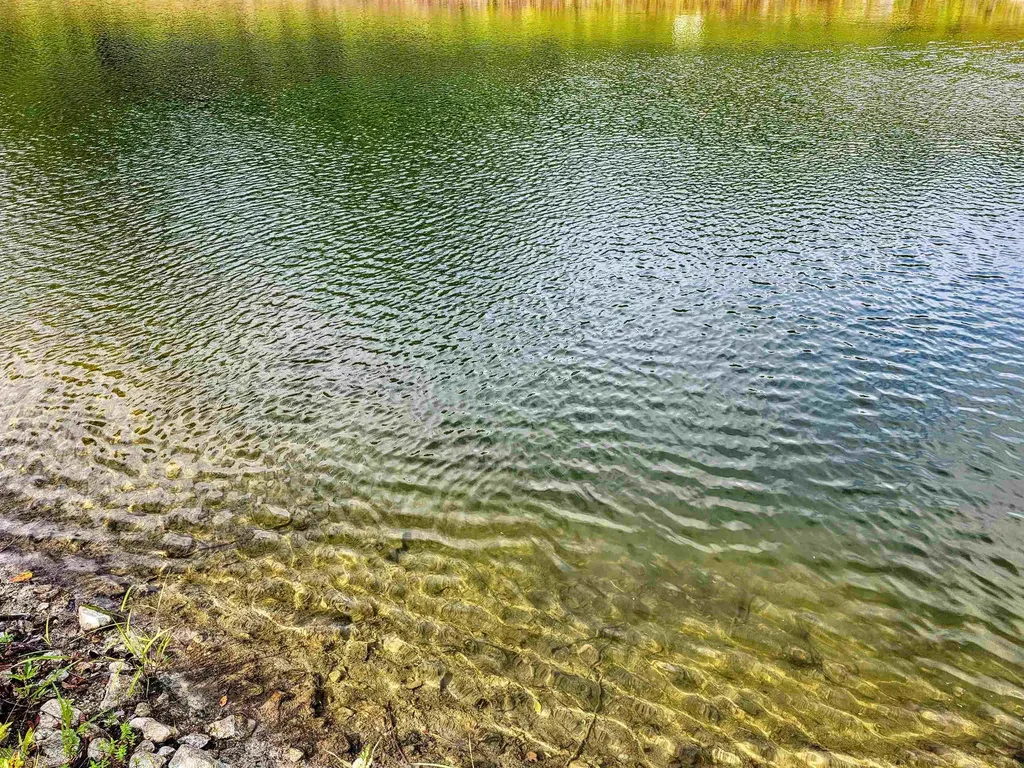 00 West Hill Road South Jamaica VT 05343