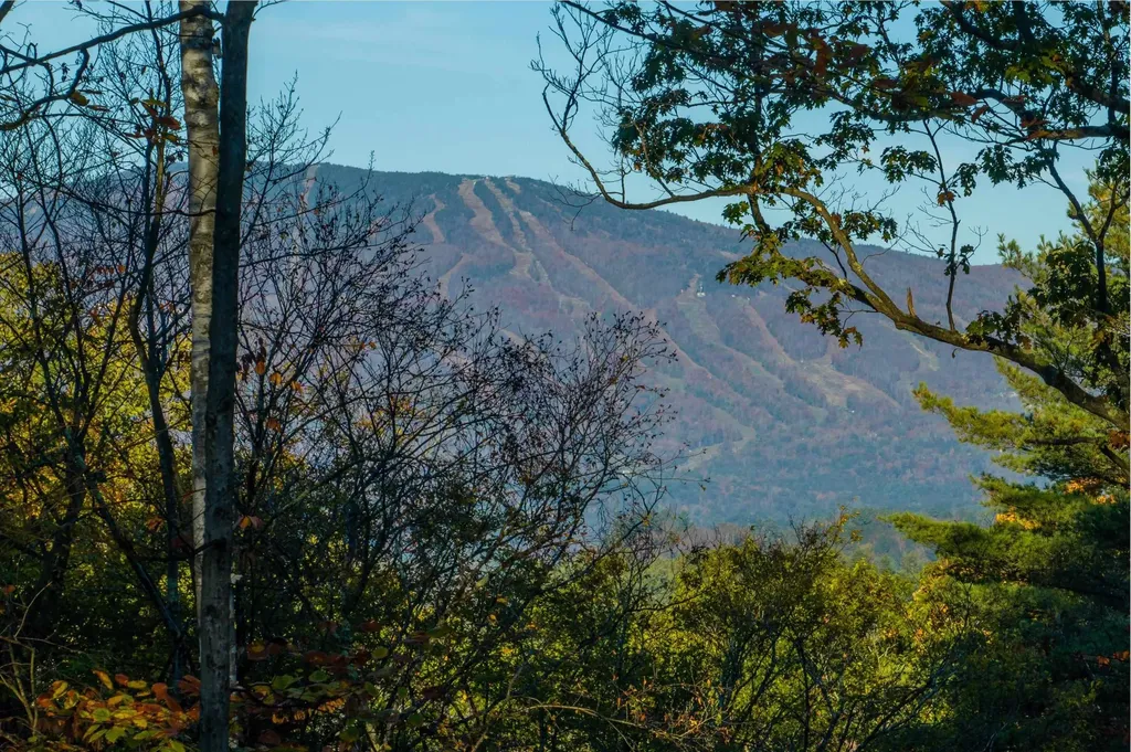 263 High Ridge Road Cavendish VT 05142