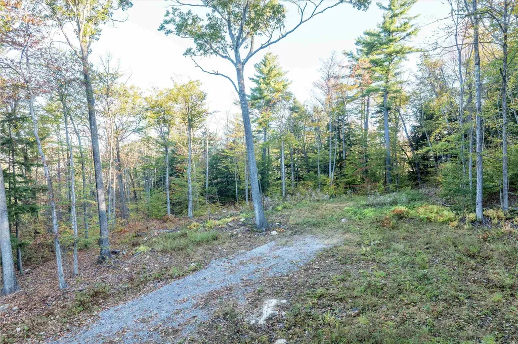 263 High Ridge Road Cavendish VT 05142