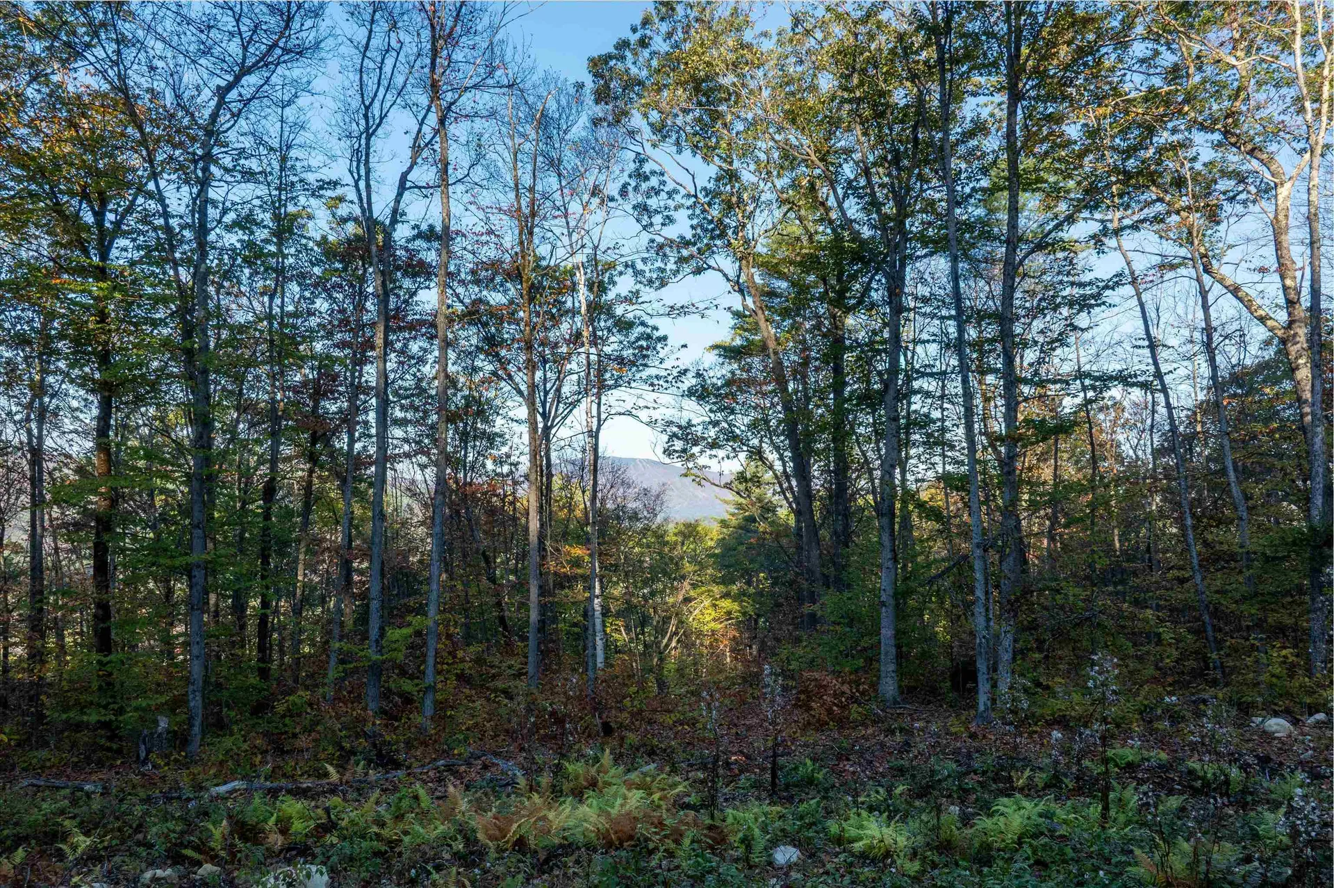 263 High Ridge Road Cavendish VT 05142