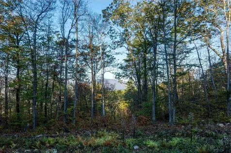 263 High Ridge Road Cavendish VT 05142