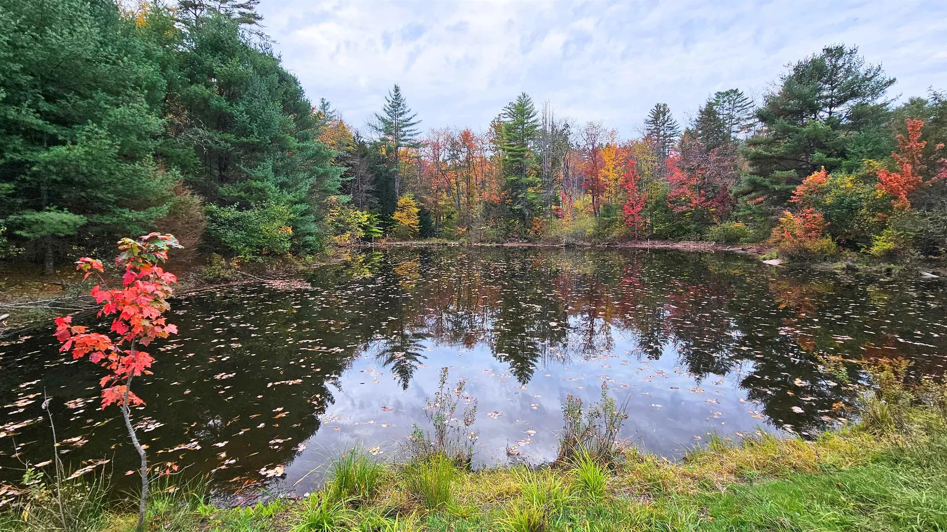 197 Baker Road Springfield VT 05156