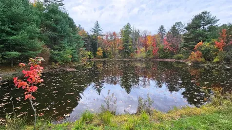 197 Baker Road Springfield VT 05156