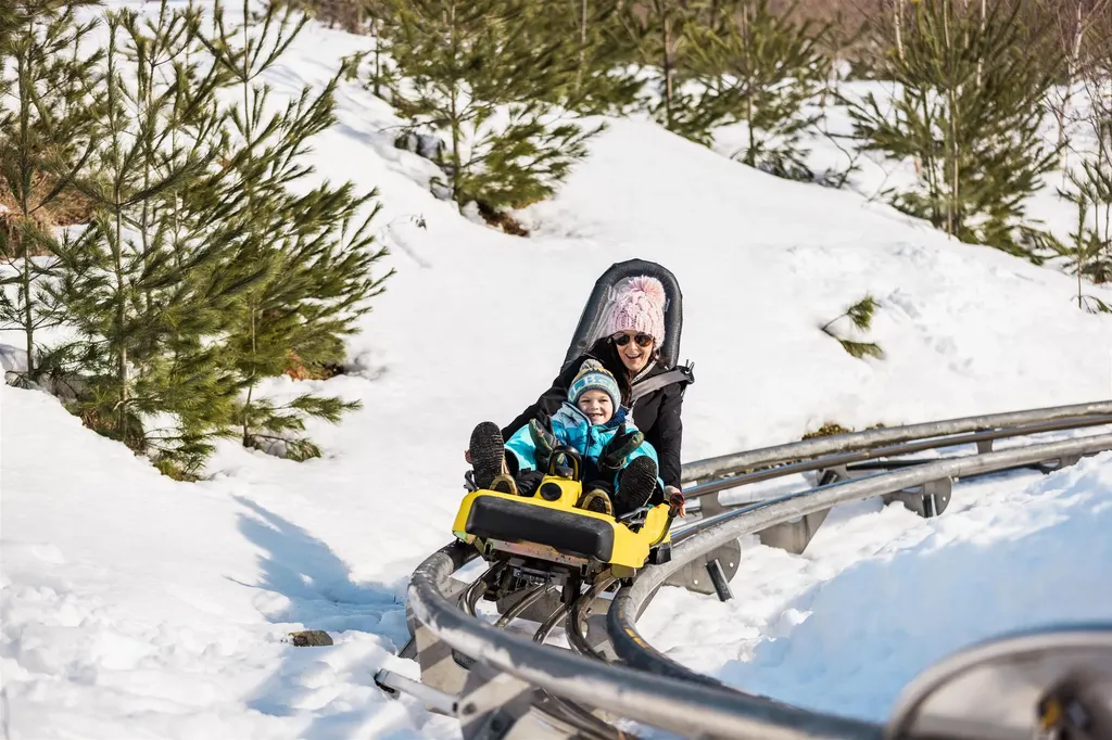 243 Skimobile Road Conway NH 03860