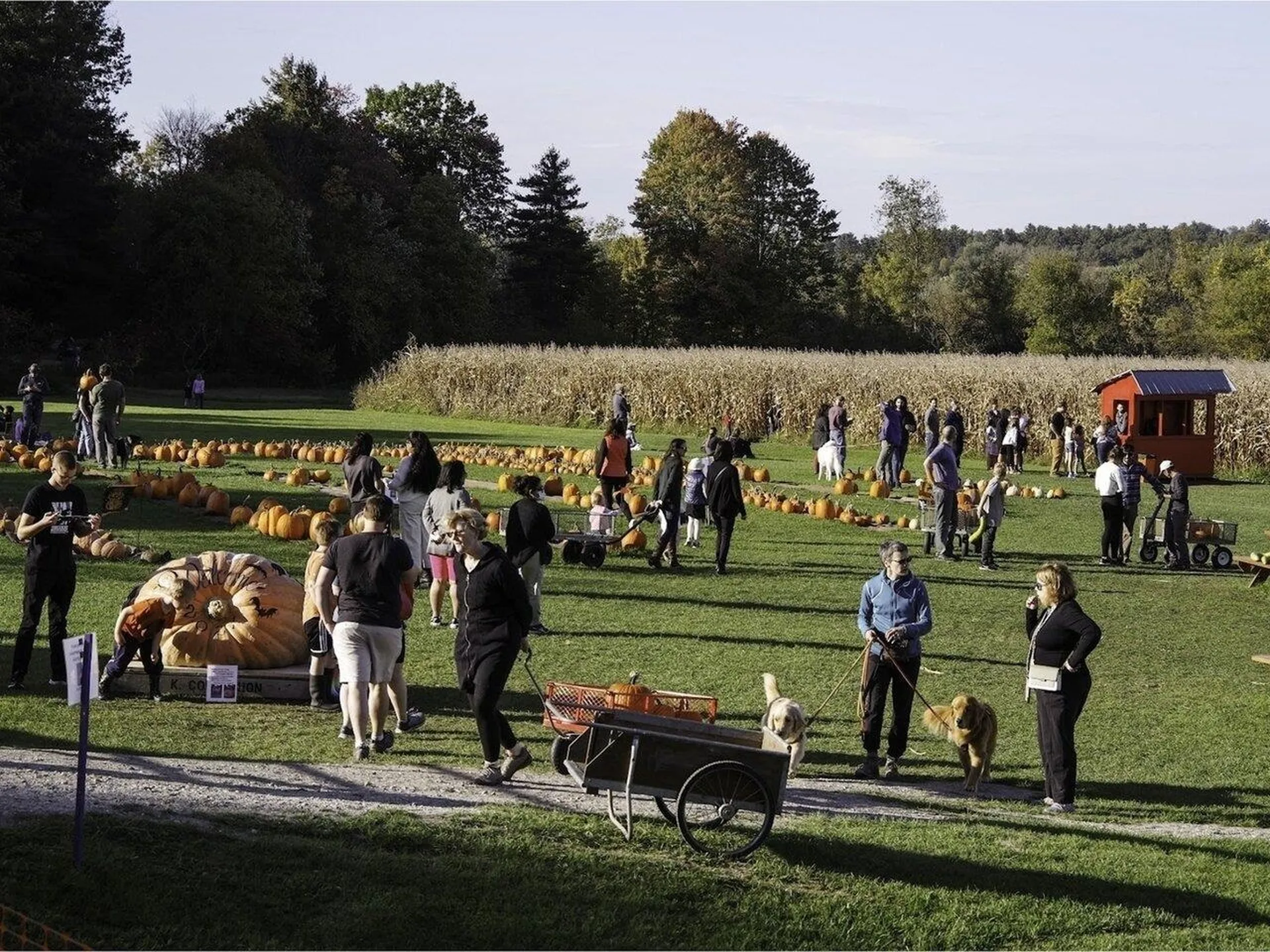 255 Eastview Circle Williston VT 05495