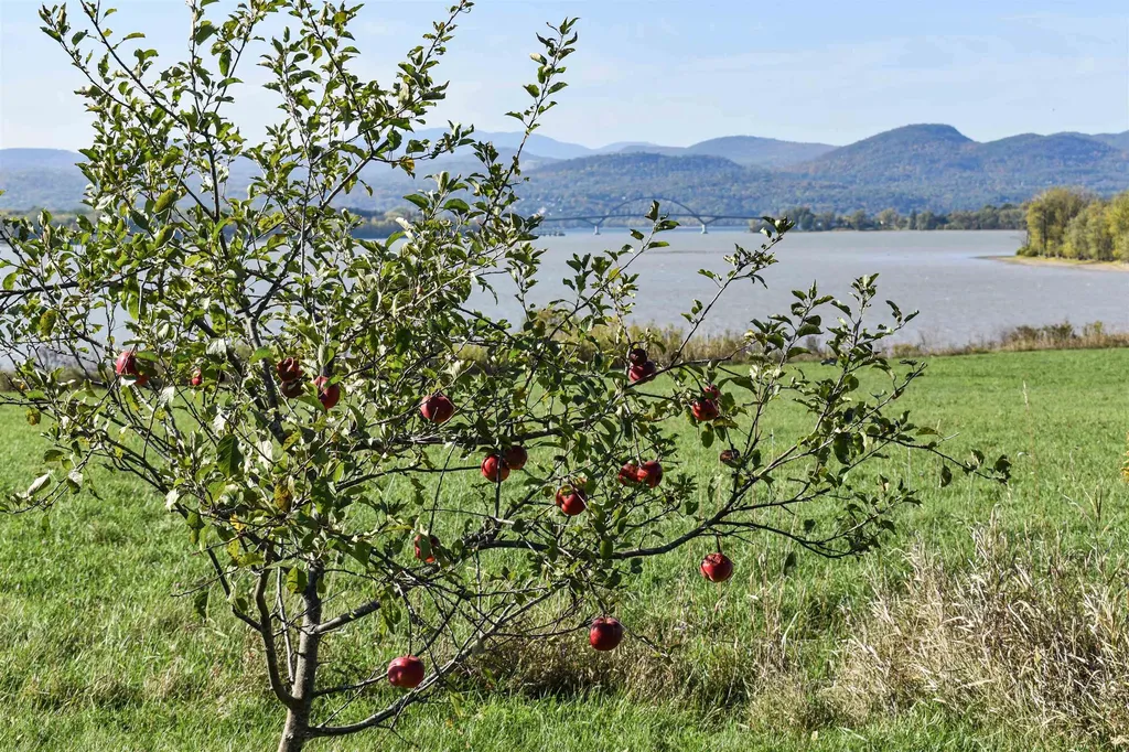 8269 Route 125 Bridport VT 05734