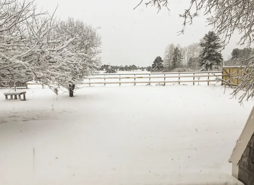 8269 Route 125 Bridport VT 05734