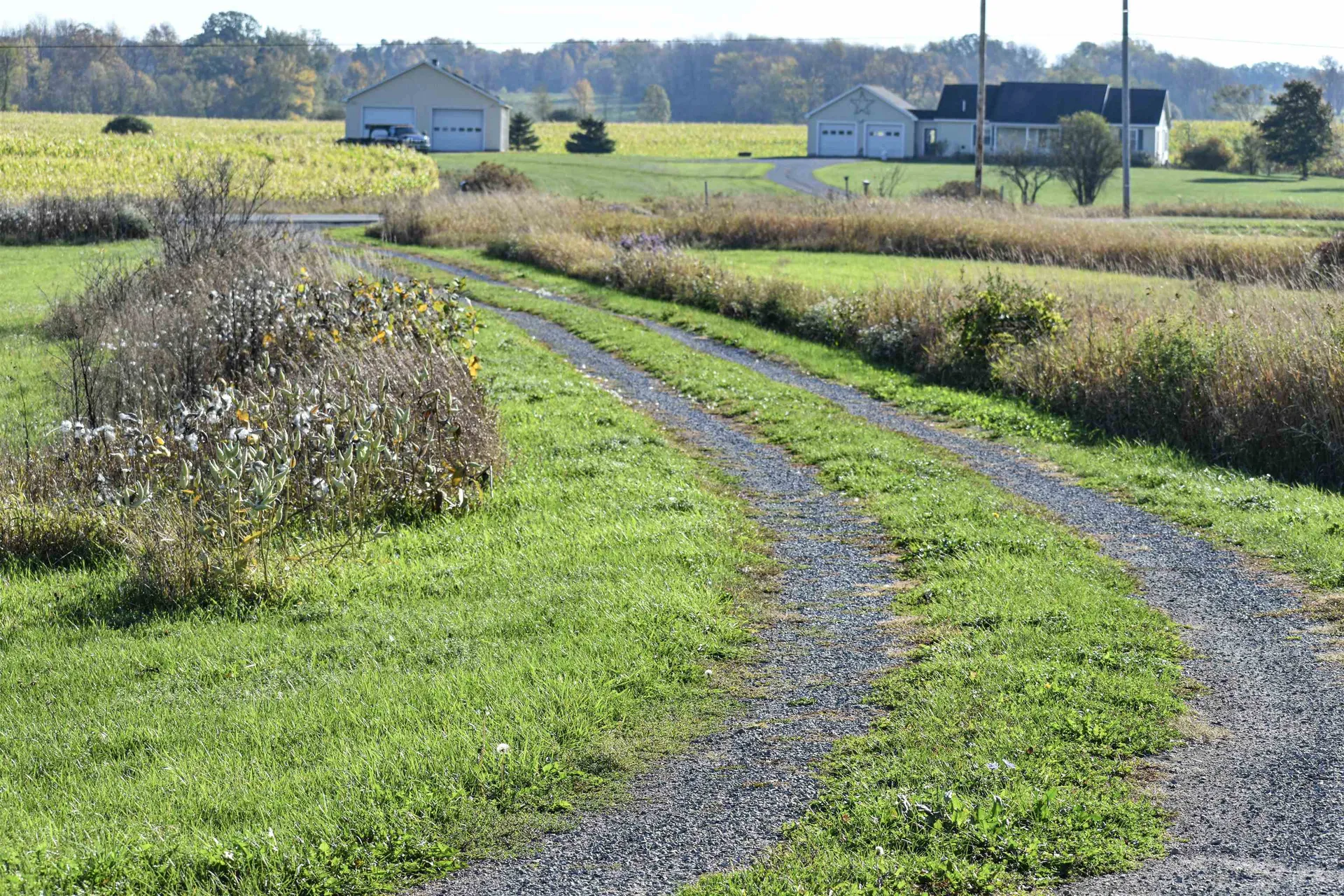 8269 Route 125 Bridport VT 05734