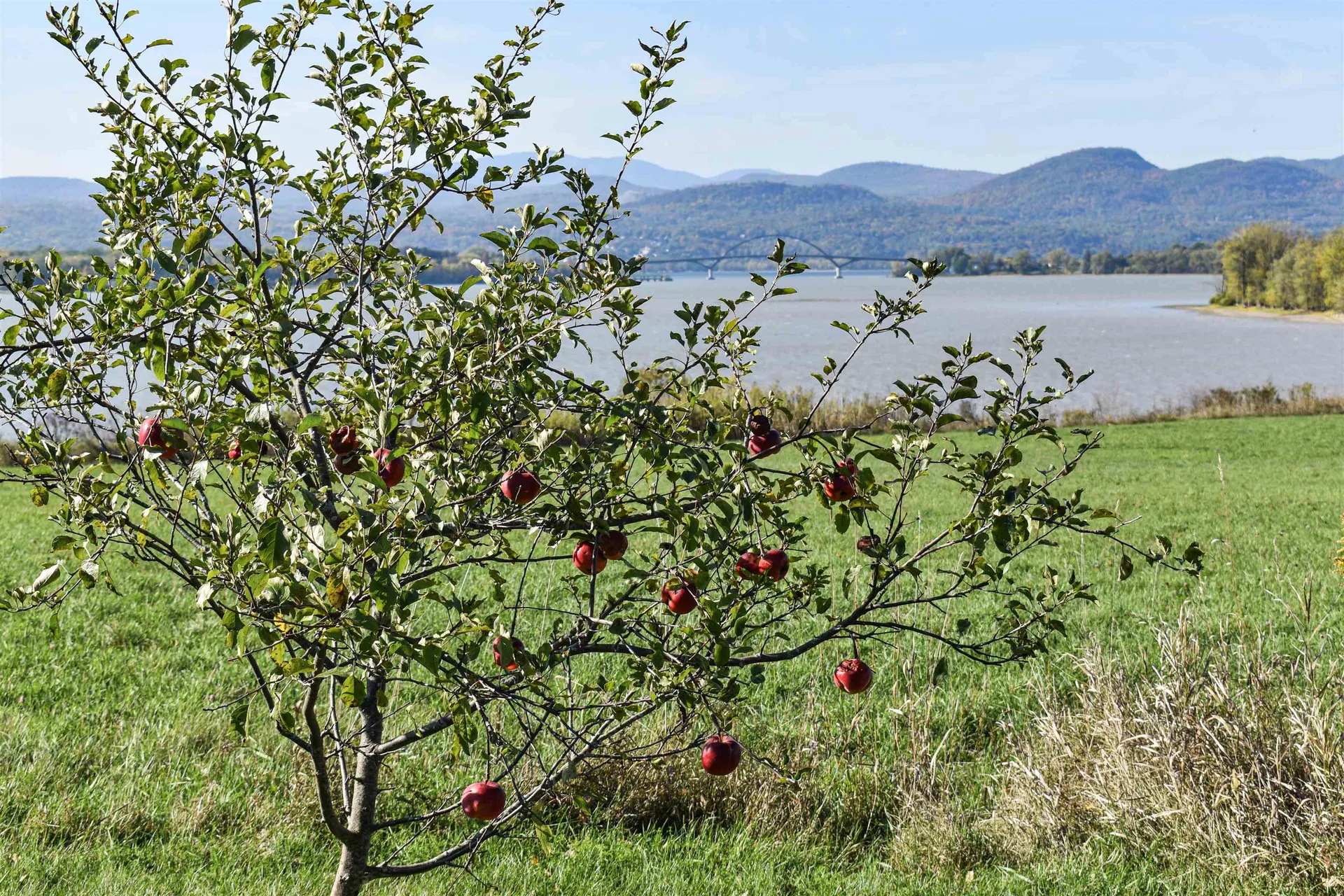 8269 Route 125 Bridport VT 05734