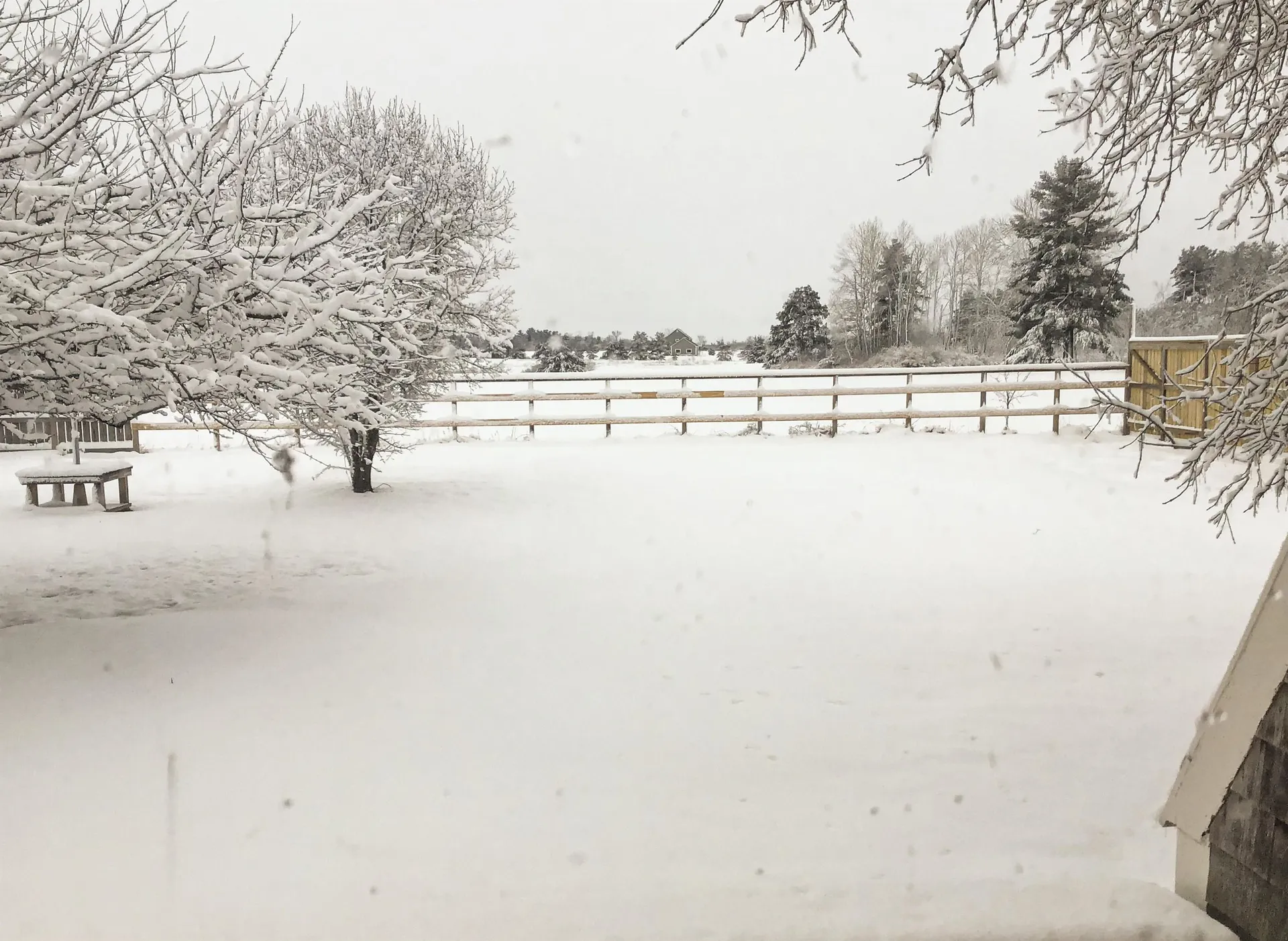 8269 Route 125 Bridport VT 05734