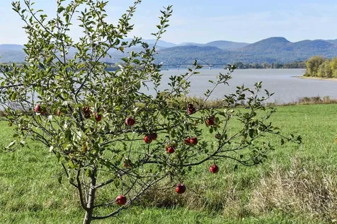 8269 Route 125 Bridport VT 05734