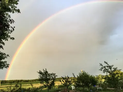 8269 Route 125 Bridport VT 05734