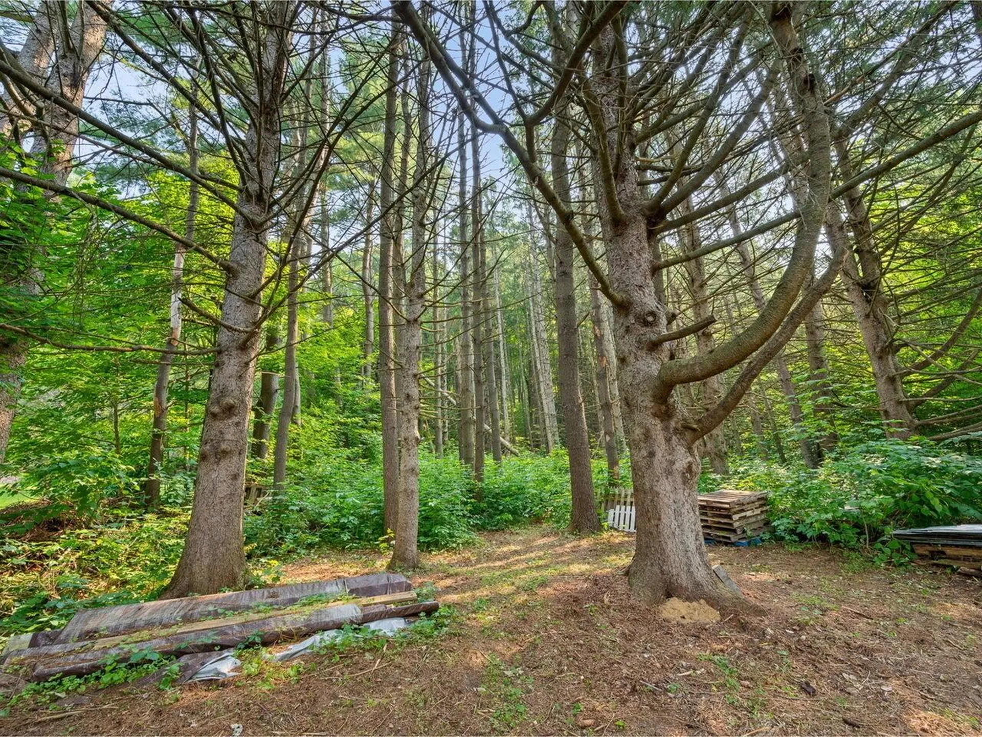 26 Mountain Street Bristol VT 05443