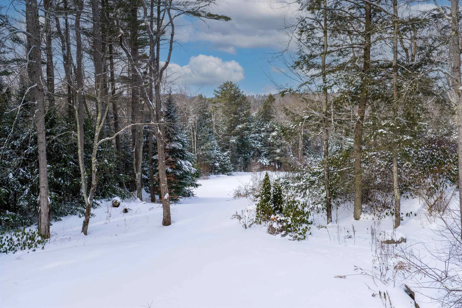 224 Cobble Ridge Road Londonderry VT 05148