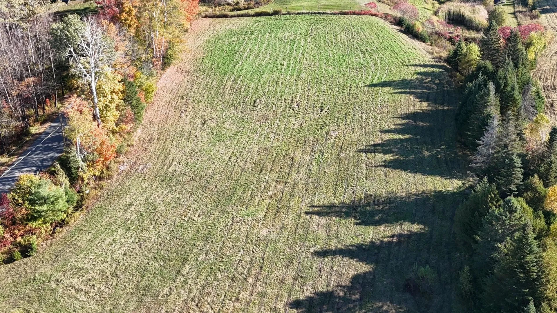 350 Hinton Hill Road Westmore VT 05860