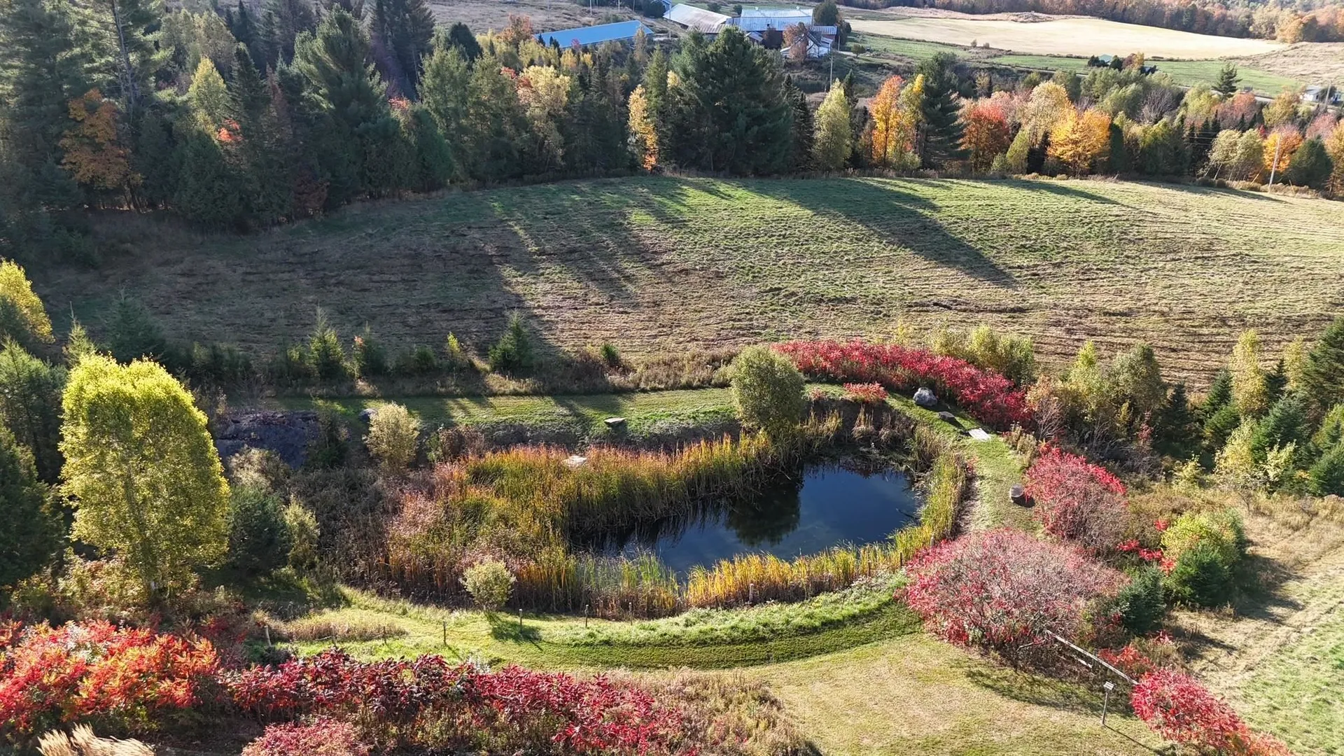 350 Hinton Hill Road Westmore VT 05860