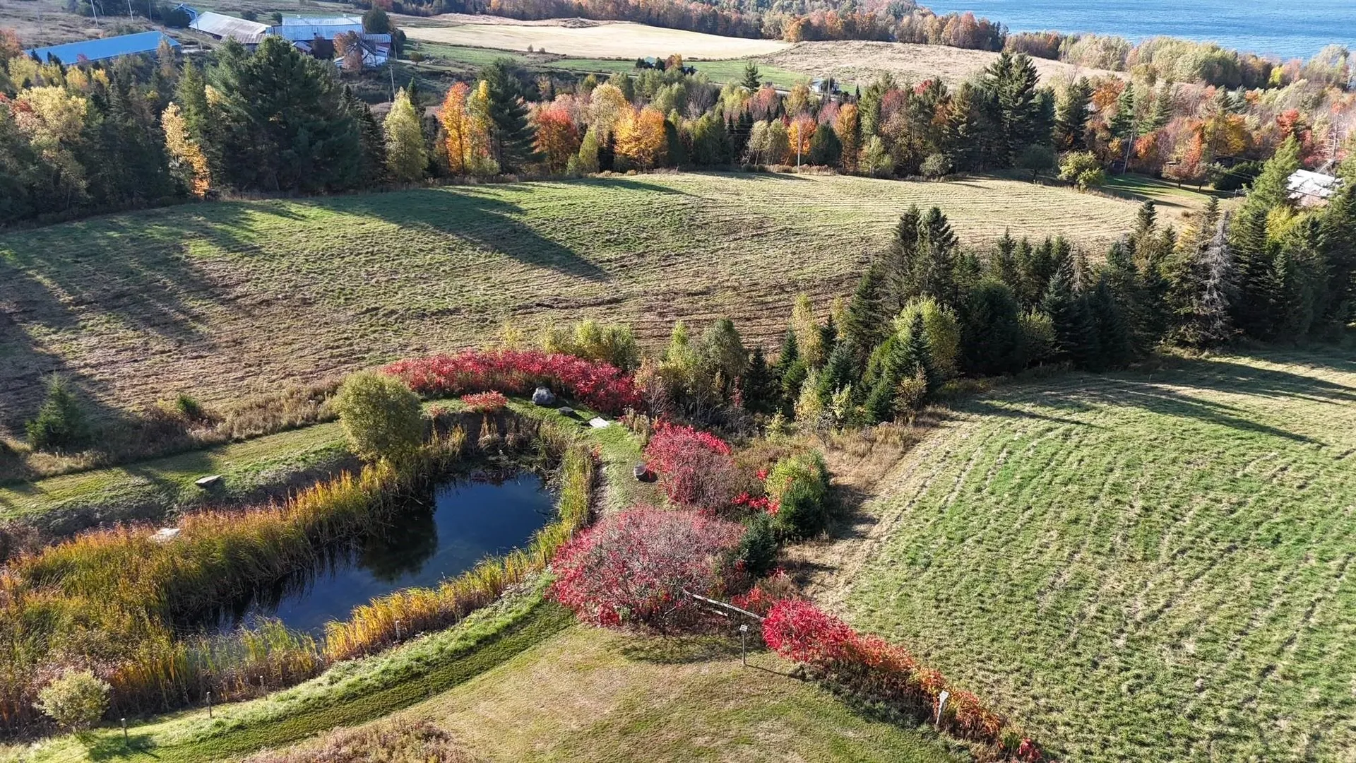 350 Hinton Hill Road Westmore VT 05860